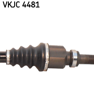VKJC 4481_3