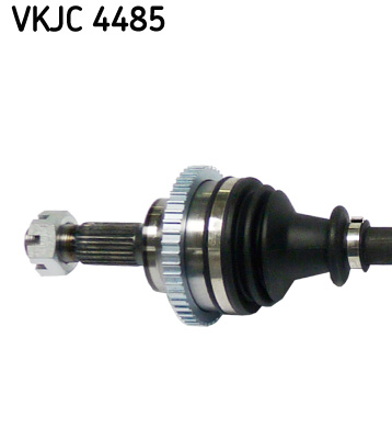 VKJC 4485_2