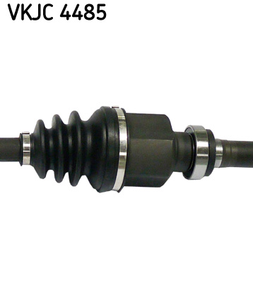 VKJC 4485_3