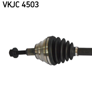 VKJC 4503_2