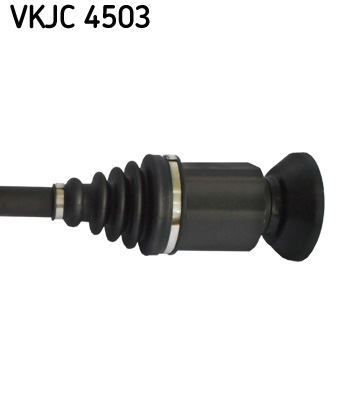 VKJC 4503_3