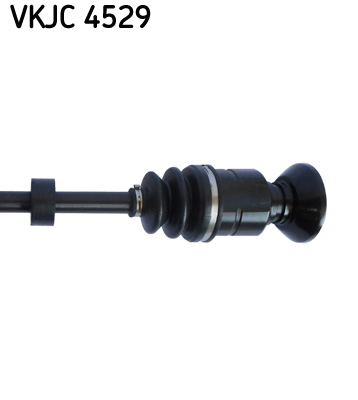VKJC 4529_3