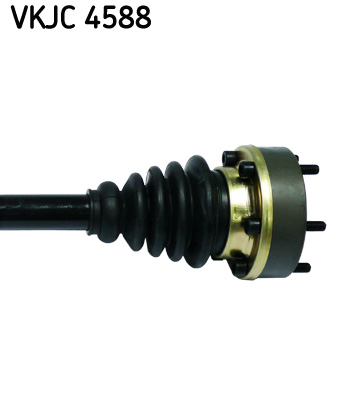 VKJC 4588_3