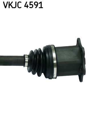VKJC 4591_3