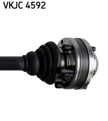 VKJC 4592_3