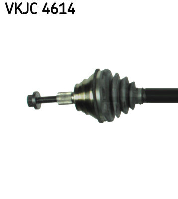 VKJC 4614_2