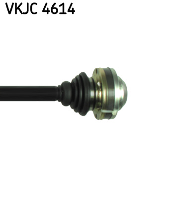 VKJC 4614_3