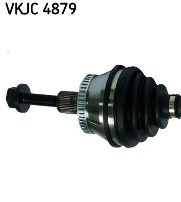 VKJC 4879_2