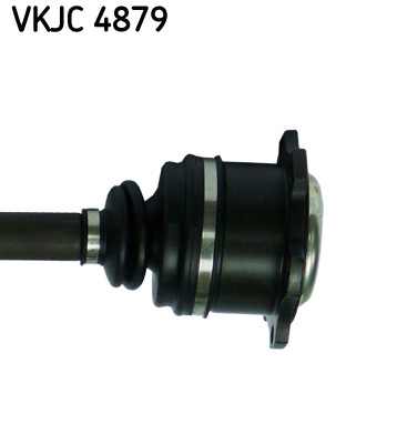 VKJC 4879_3