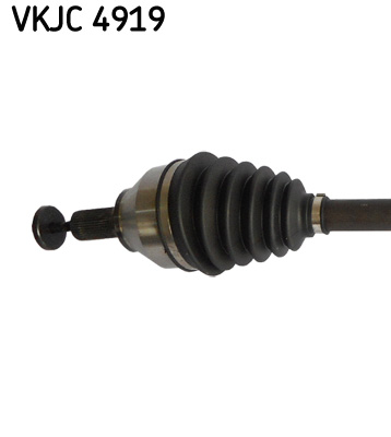 VKJC 4919_2