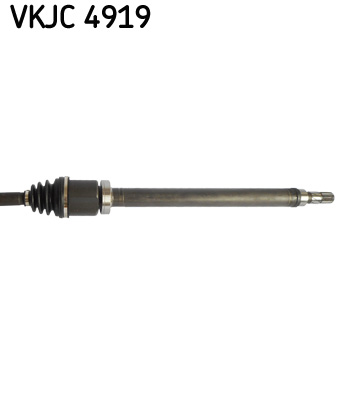VKJC 4919_3