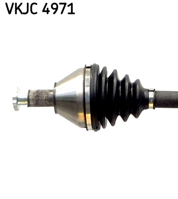 VKJC 4971_2