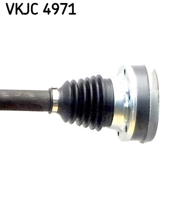 VKJC 4971_3