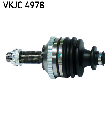 VKJC 4978_2