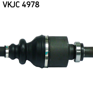 VKJC 4978_3