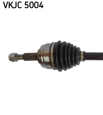 VKJC 5004_2