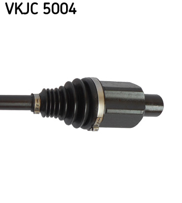 VKJC 5004_3