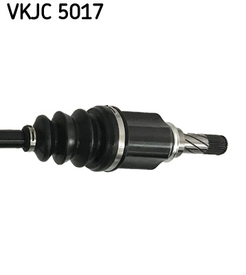 VKJC 5017_3