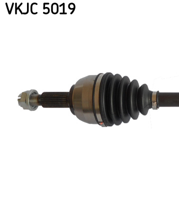 VKJC 5019_2