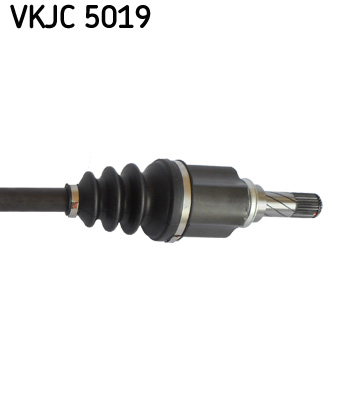 VKJC 5019_3
