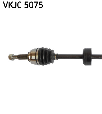 VKJC 5075_2