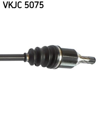 VKJC 5075_3