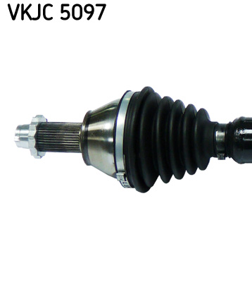 VKJC 5097_2