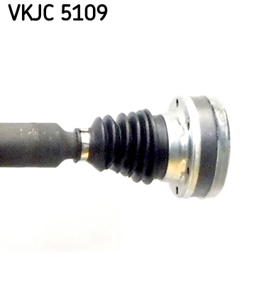 VKJC 5109_3