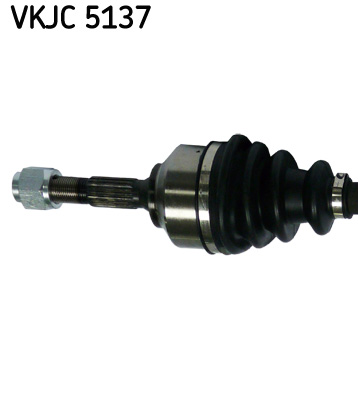 VKJC 5137_2