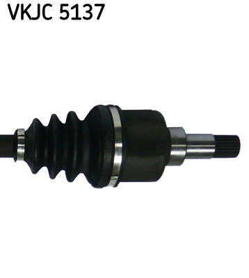 VKJC 5137_3
