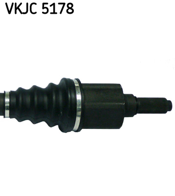 VKJC 5178_3