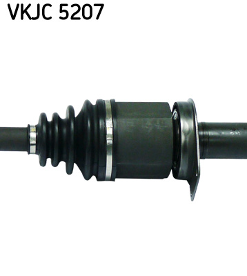 VKJC 5207_3