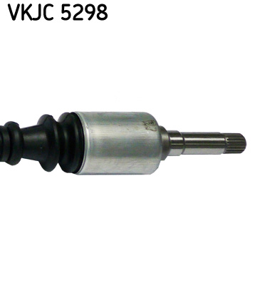 VKJC 5298_3