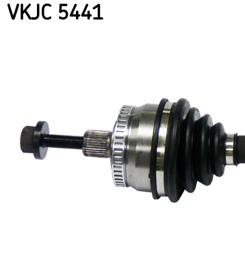 VKJC 5441_2