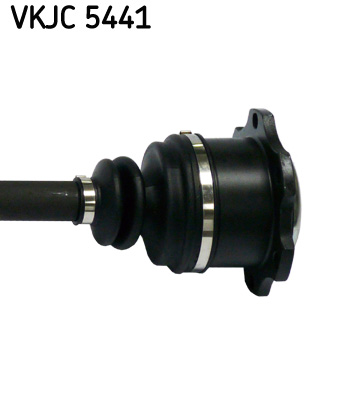 VKJC 5441_3