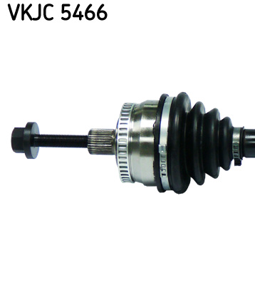 VKJC 5466_2