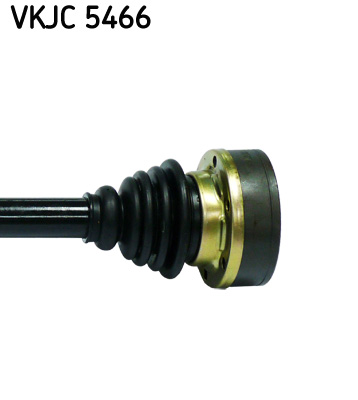 VKJC 5466_3