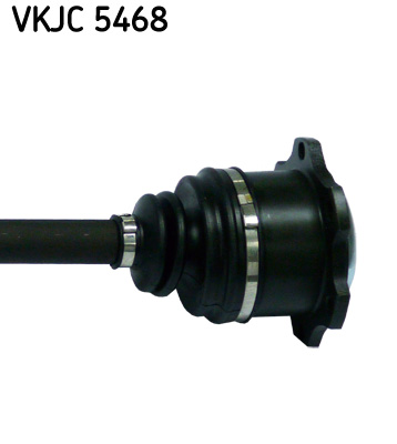 VKJC 5468_3