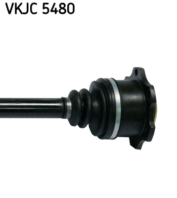 VKJC 5480_3