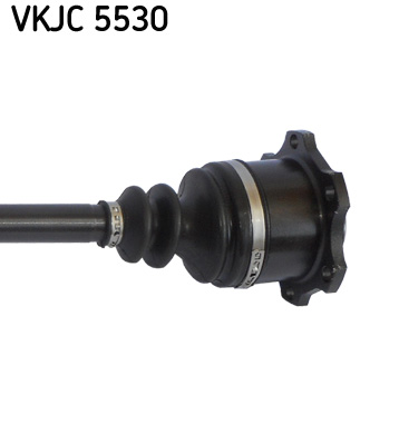 VKJC 5530_3