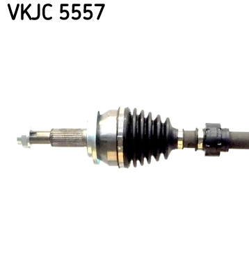 VKJC 5557_2