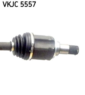 VKJC 5557_3