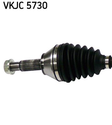 VKJC 5730_2
