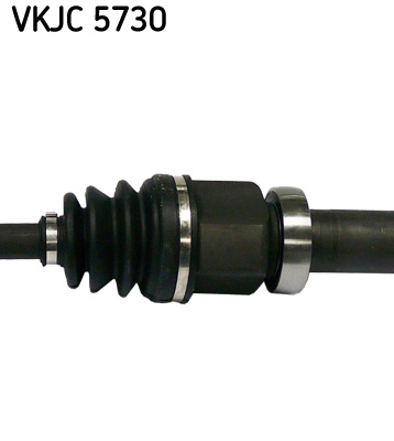 VKJC 5730_3