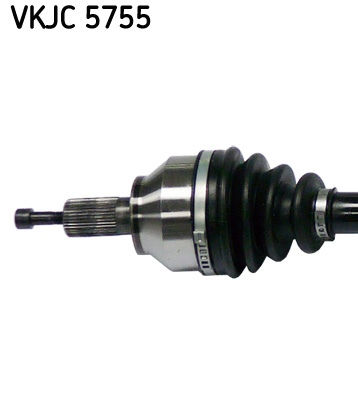 VKJC 5755_2