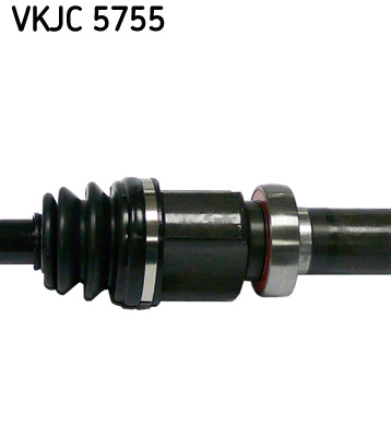 VKJC 5755_3