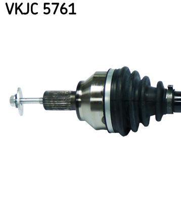 VKJC 5761_2