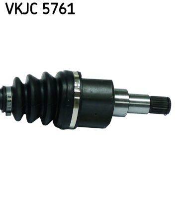 VKJC 5761_3