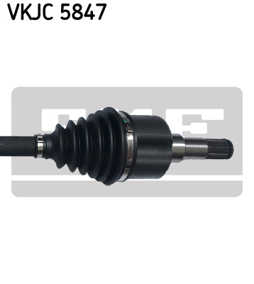 VKJC 5847_3