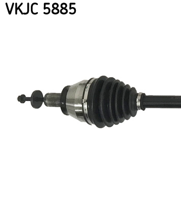 VKJC 5885_2